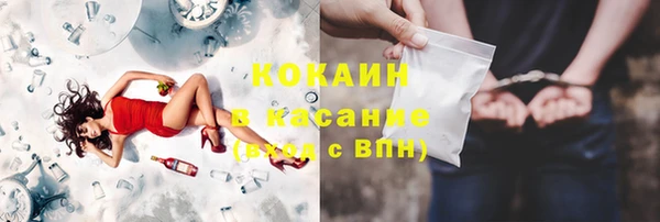гидра Алексин