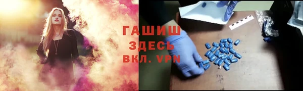 apvp Алзамай