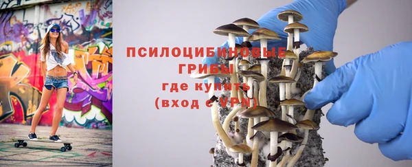 мдпв Снежногорск