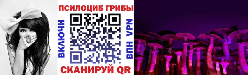 Псилоцибиновые грибы Magic Shrooms  закладки  Камешково 